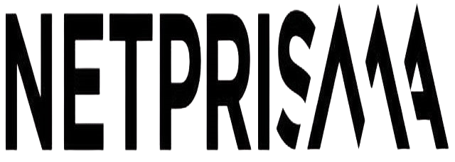 NetPrisma logo